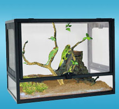 PT GLASS PET TERRARIUM