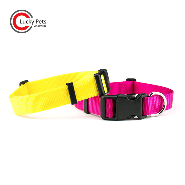 Customized Adjustable Plain Nylon Dog Collar