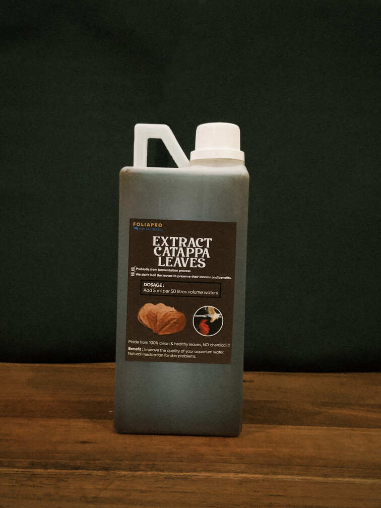 No-Boil Catappa Leaf Extract