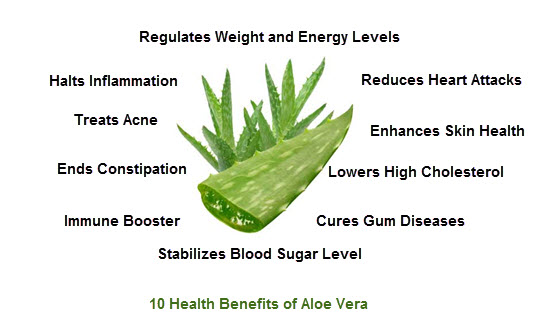 Aloevera