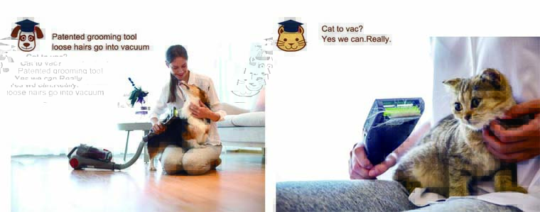 宠物杂志-2 171110.jpg