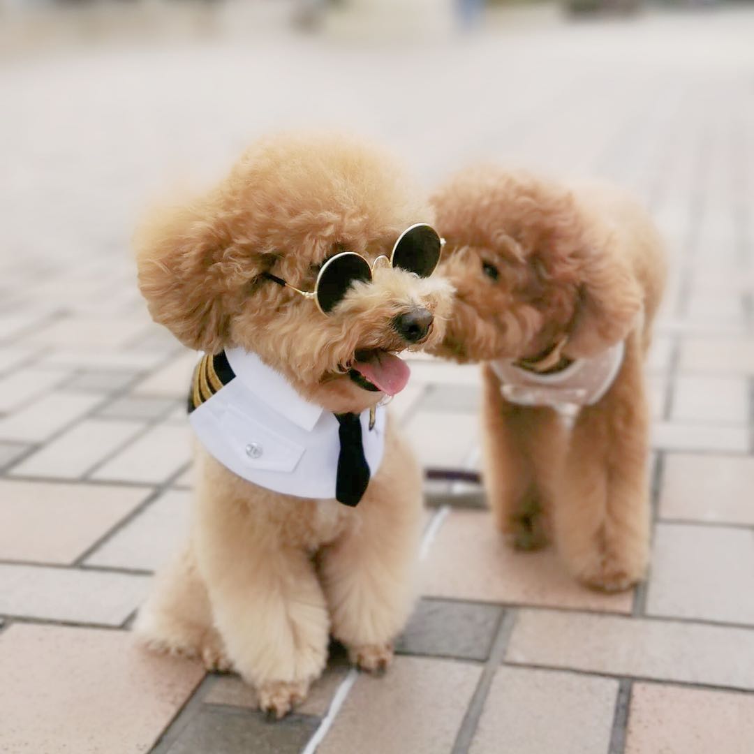 微信图片_20200709110057.jpg 微信图片_20200709110057.jpg