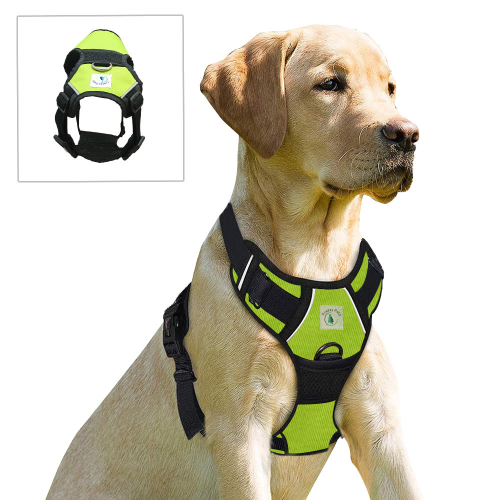 unnamed (39).jpg unnamed (39).jpg